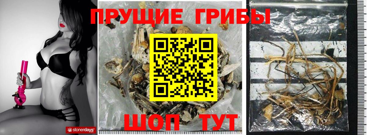 Галлюциногенные грибы GOLDEN TEACHER Сибай